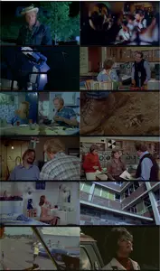 The Giant Spider Invasion (1975) + Bonus