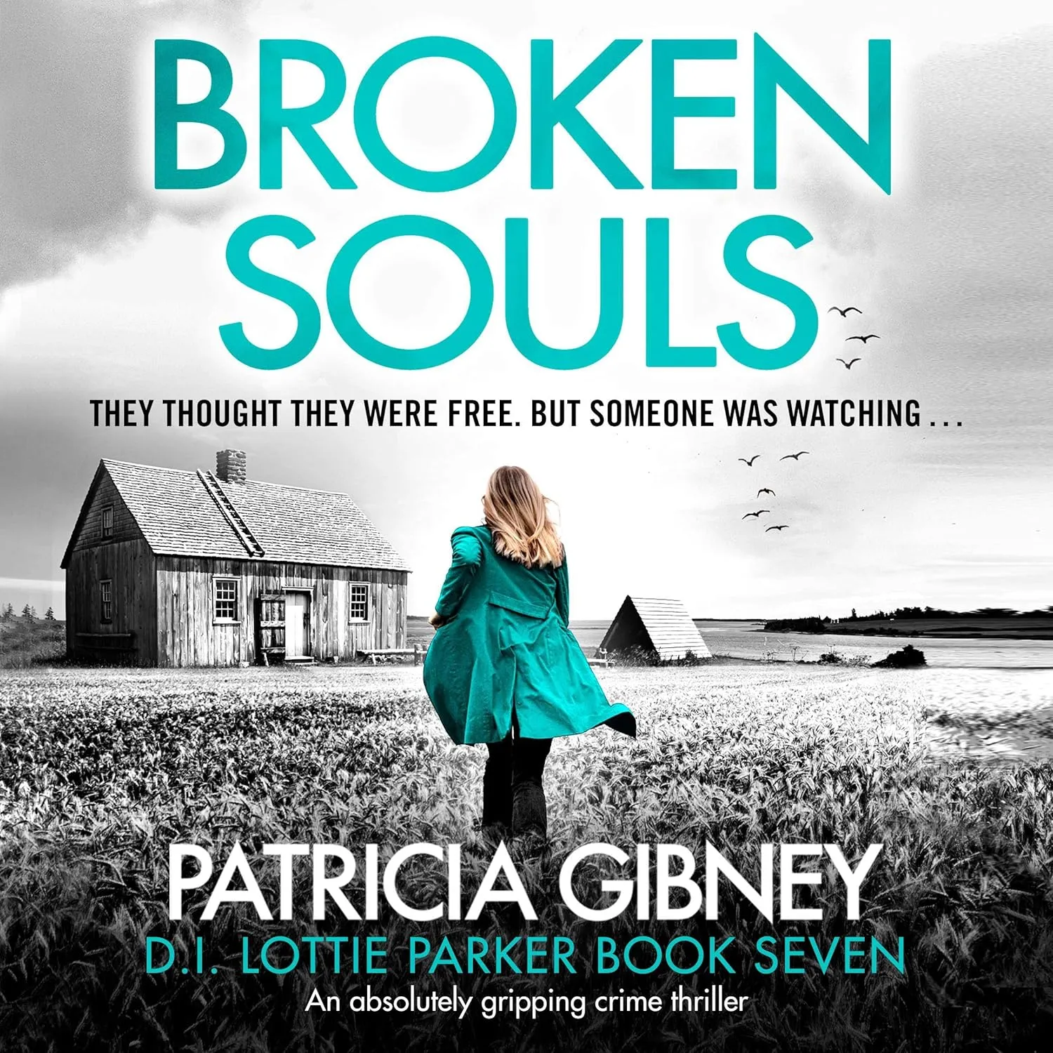 Broken Souls: Detective Lottie Parker