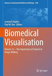 Biomedical Visualisation: Volume 12 ‒ The Importance of Context in Image-Making
