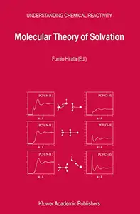 Molecular Theory of Solvation