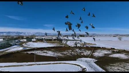 An Open Door: Temple Grandin (2025)