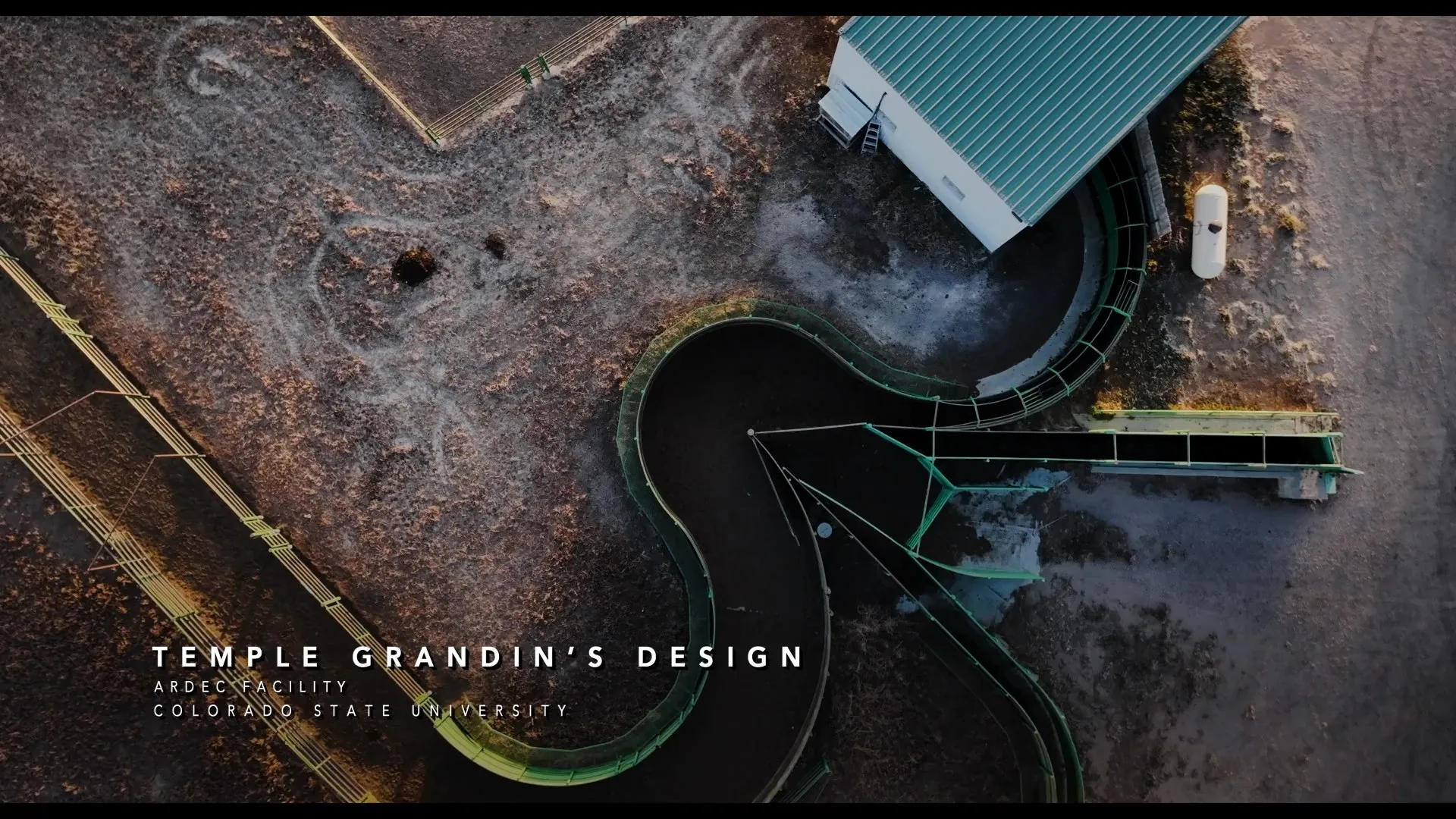 An Open Door: Temple Grandin (2025)