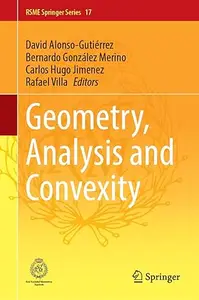Geometry, Analysis and Convexity