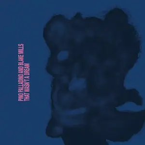 Pino Palladino & Blake Mills - That Wasn’t a Dream (2025)