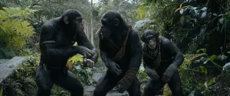 Kingdom of the Planet of the Apes (2024)