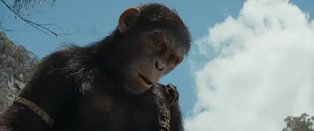 Kingdom of the Planet of the Apes (2024)