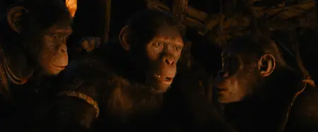 Kingdom of the Planet of the Apes (2024)