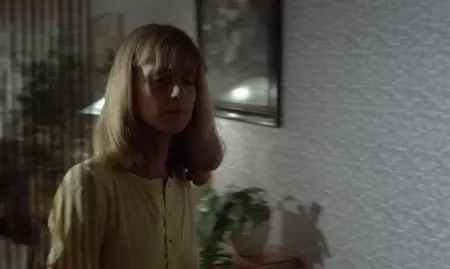 Pile ou face (1980)