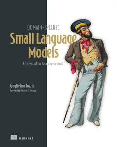 Domain-Specific Small Language Models: Efficient AI for local deployment