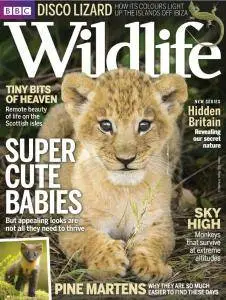 BBC Wildlife - October 2016