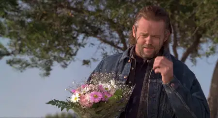 The Crossing Guard (1995)