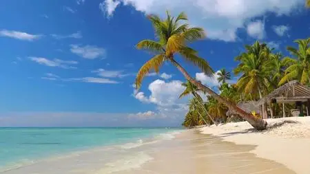 Travel Ch. - Doomsday Caught on Camera: Series 1 (2020)