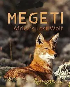 Terra Mater - Megeti: Africa's Lost Wolf (2016)
