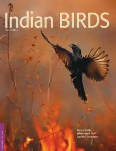 Indian Birds - August 26, 2016