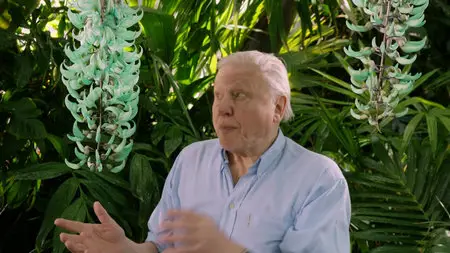 Kingdom of Plants (2012)