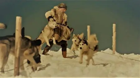 Bonne Pioche - Sled Dog Soldiers (2012)