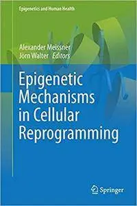 Epigenetic Mechanisms in Cellular Reprogramming (Repost)