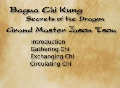 Bagua Chi Kung: Secrets of the Dragon (2 DVD Set)