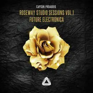 CAPSUN ProAudio - Roseway Studio Sessions Vol 1 - Future Electronica WAV