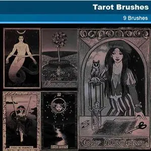 Taro Cards brushes for Photoshop