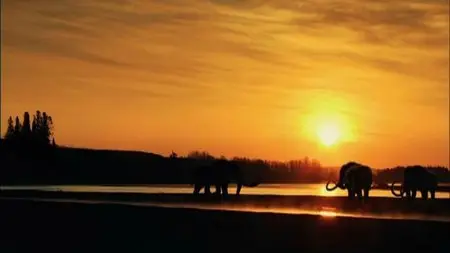 National Geographic - Mammoth Mystery (2012)