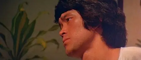 Game Of Death II (1981)