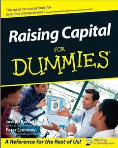 Raising Capital For Dummies (Repost)
