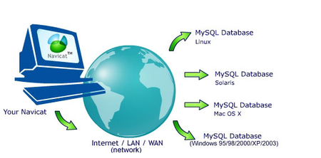 Navicat for MySQL 8.0.22