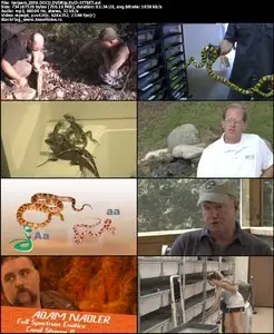 Herpers (2009)