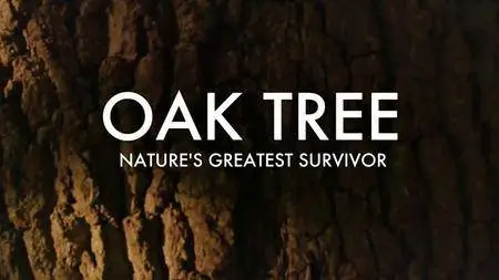 BBC - Oak Tree: Nature's Greatest Survivor- Series 1 (2015)