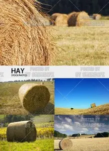 Stock Photo - Hay