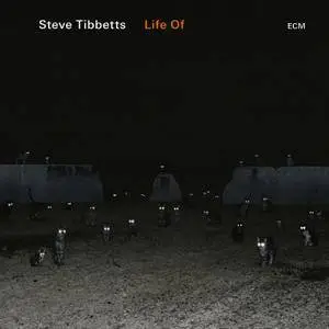 Steve Tibbetts - Life Of (2018) [Official Digital Download 24/88]