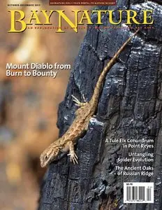 Bay Nature Magazine - October-December 2015