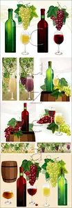 Vector - Wine and grape