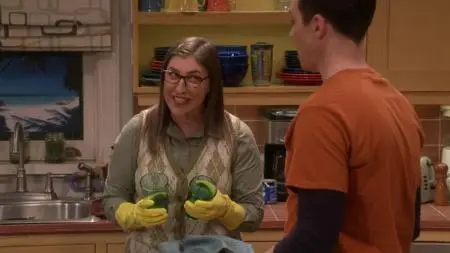 The Big Bang Theory S11E17