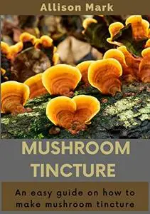 Mushroom Tincture: An Easy Guide on how to Make Mushroom Tincture