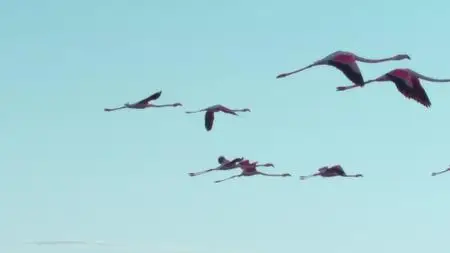 A World of Calm S01E03
