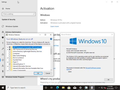 Windows 10 20H2 10.0.19042.572 (x86/x64) With Office 2019 Pro Plus Preactivated October 2020