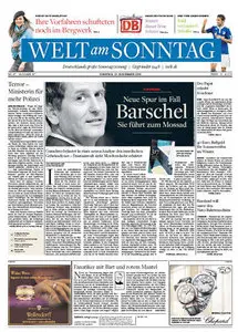 Die Welt am Sonntag 21 November 2010