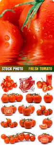 Stock Photo - Fresh Tomato