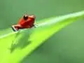 [ARTE HD] Life-L'Aventure de la Vie-La Serie Complete