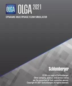 Schlumberger OLGA 2021.2 (x64)
