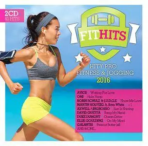 Various Artists - FIT HITS (2016)