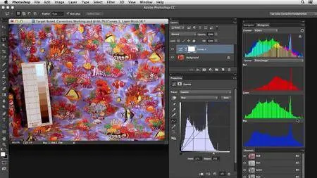 Photoshop Color Correction: Target-Based Corrections