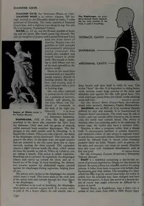 The World Book Encyclopedia "D" Volume 5