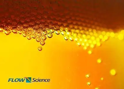 Flow Science FLOW-3D 11.2