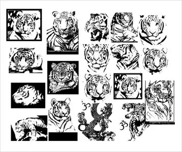 Tiger Head