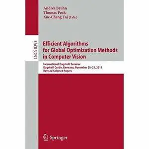 Efficient Algorithms for Global Optimization Methods in Computer Vision
