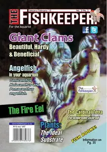 The Fishkeeper Magazine Vol.3 No.2