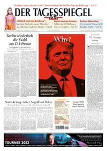 Der Tagesspiegel - 17 November 2022